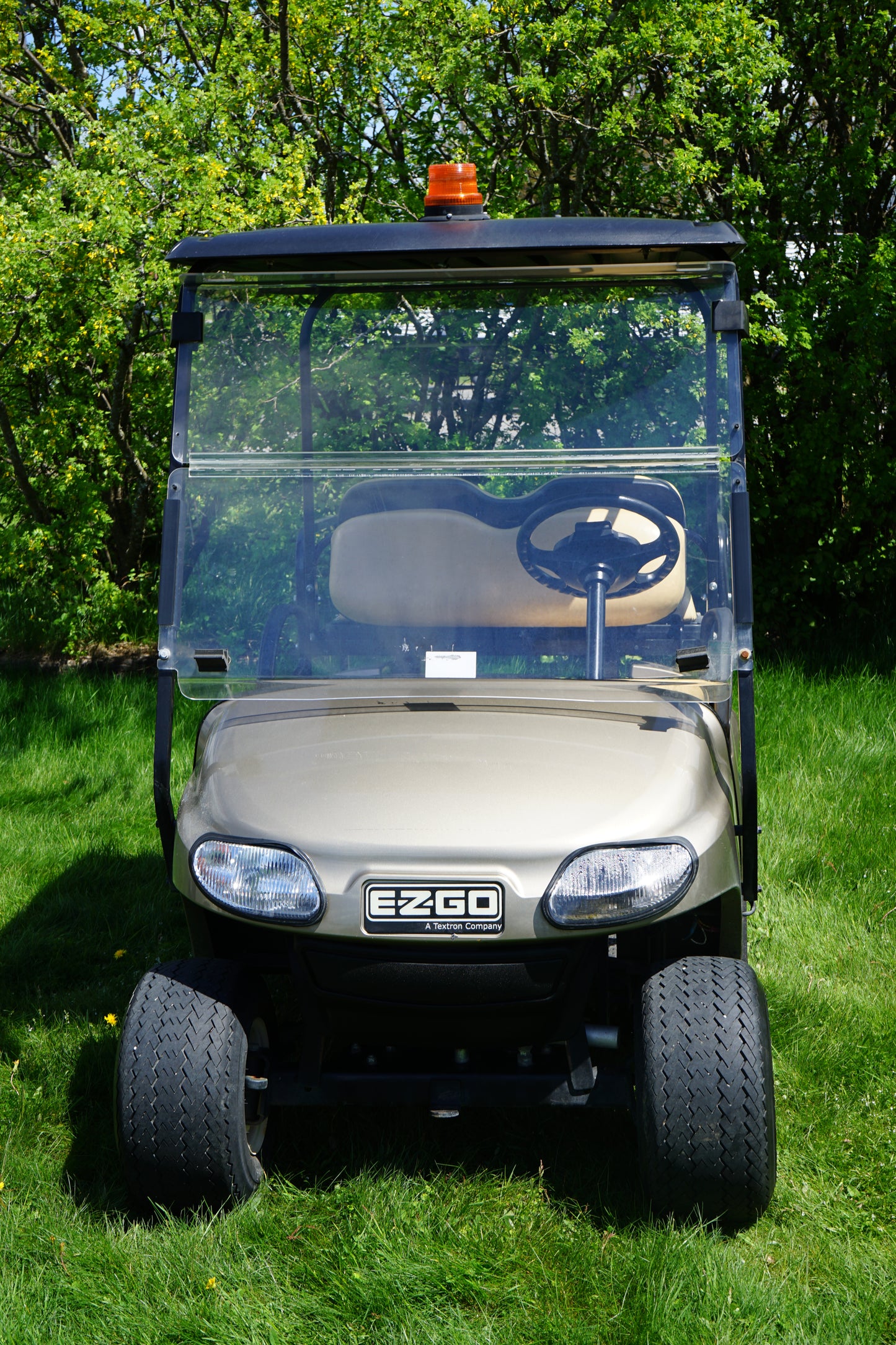 2020 EZGO TXT 48V Electric Golf Cart Golf