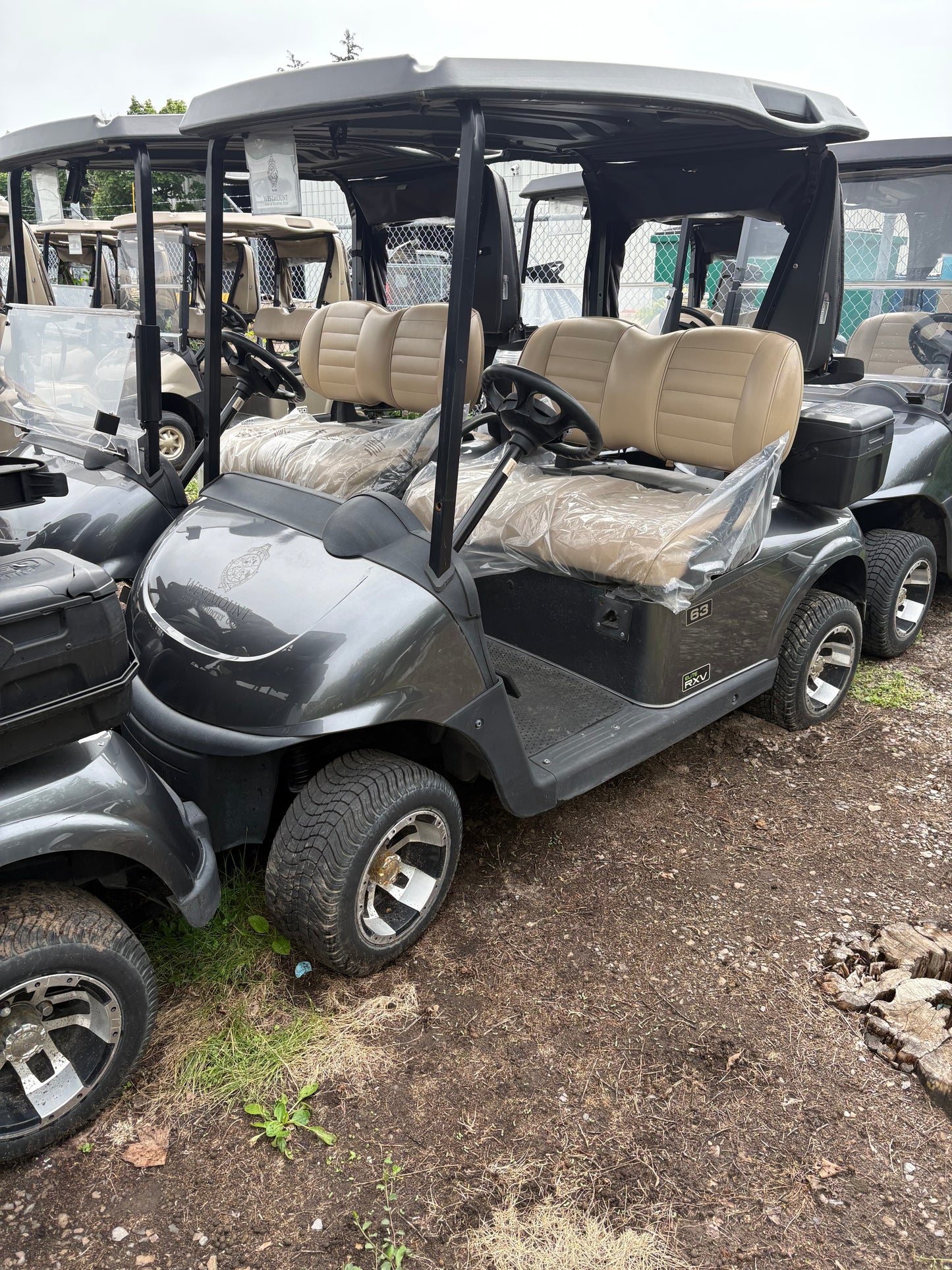 2019 EZGO RXV 48 Volt Lithium