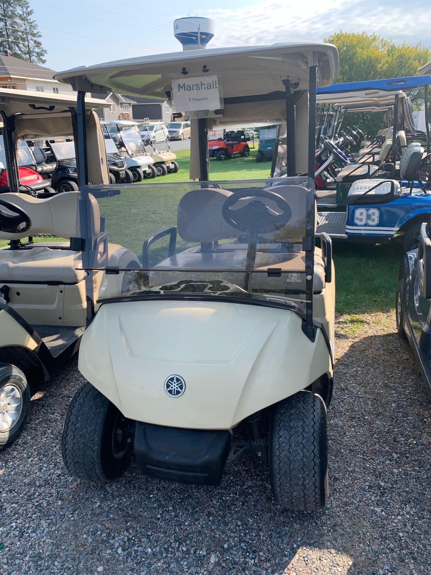 2019 Yamaha Drive 2 Quiet Tech Golf Cart Gas