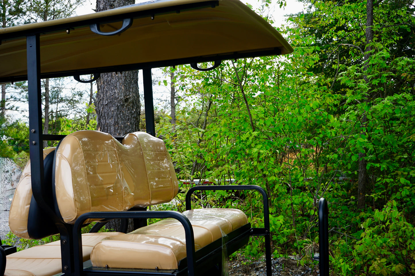 2024 AGT Apex Lithium Battery Powered Cart 48V