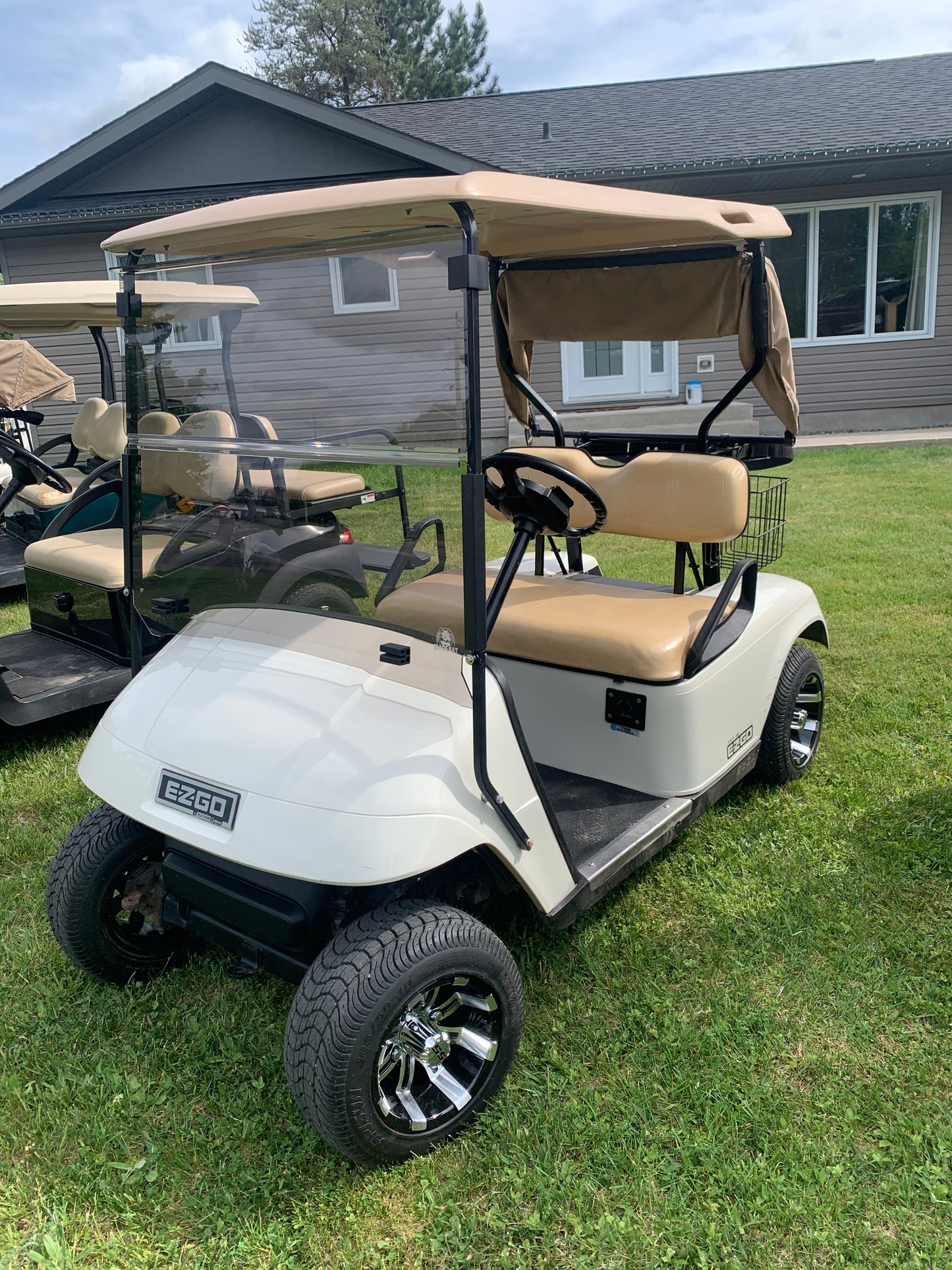 Basic Golf Cart Rental 2 Seater Electric