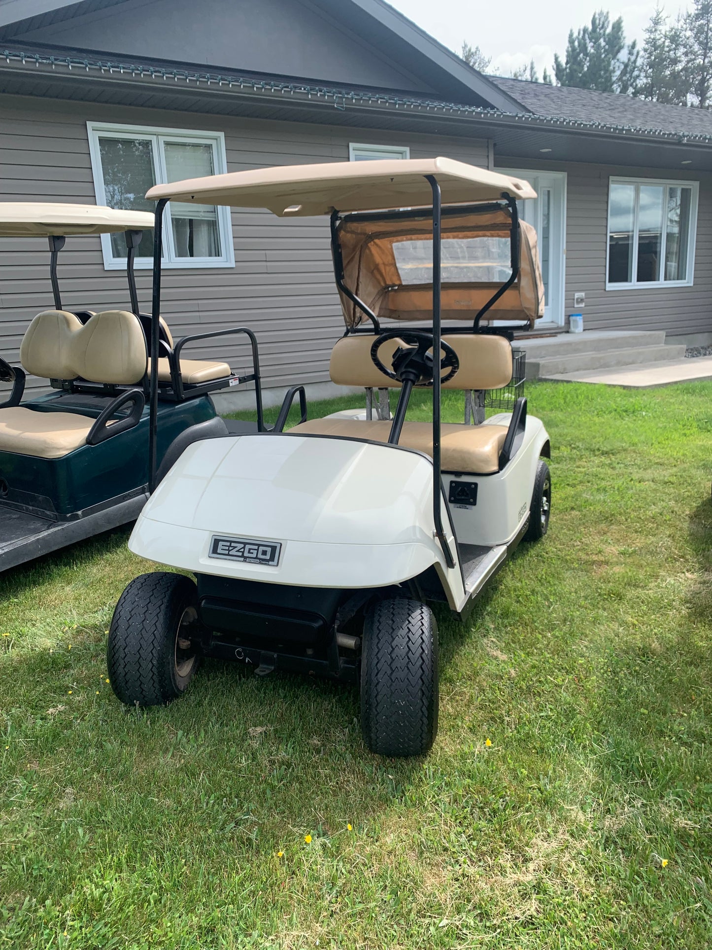 Basic Golf Cart Rental 2 Seater Electric