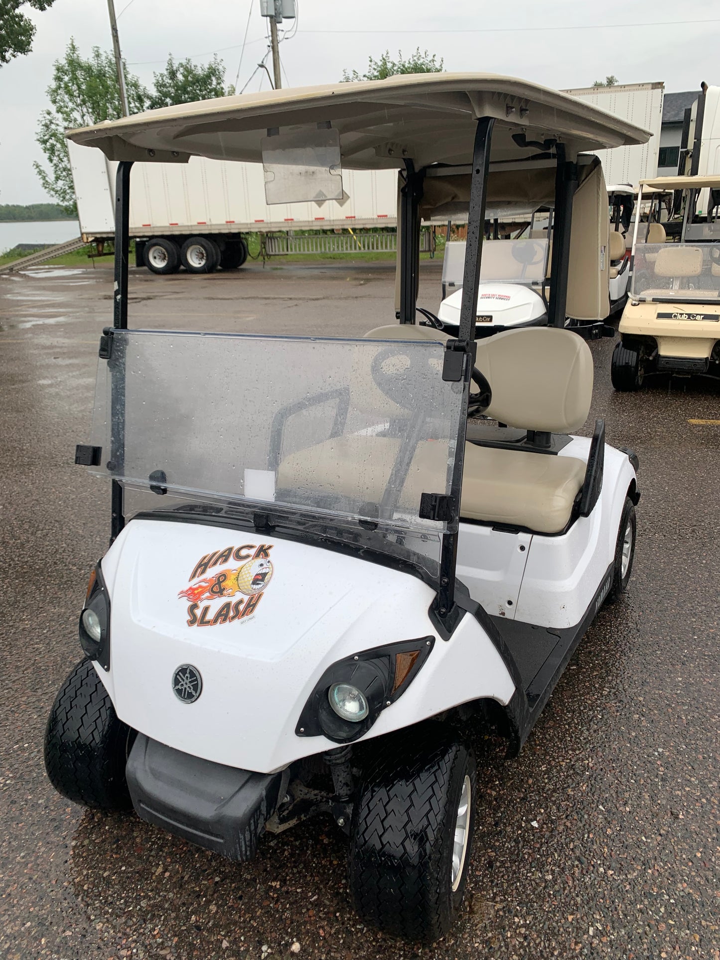 2017 Yamaha Drive 2 Golf Cart Gas
